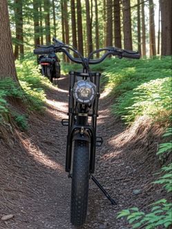 Ebike ridstar