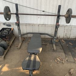 Bench, Barbell Rack, Barbell & Plate Weights