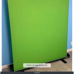 El gato green screen