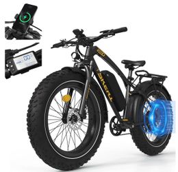 SKERT Fat Tire Electric Bike