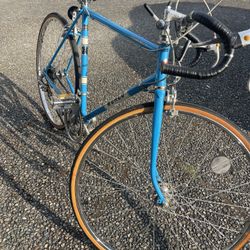 World Sports Bicycle 