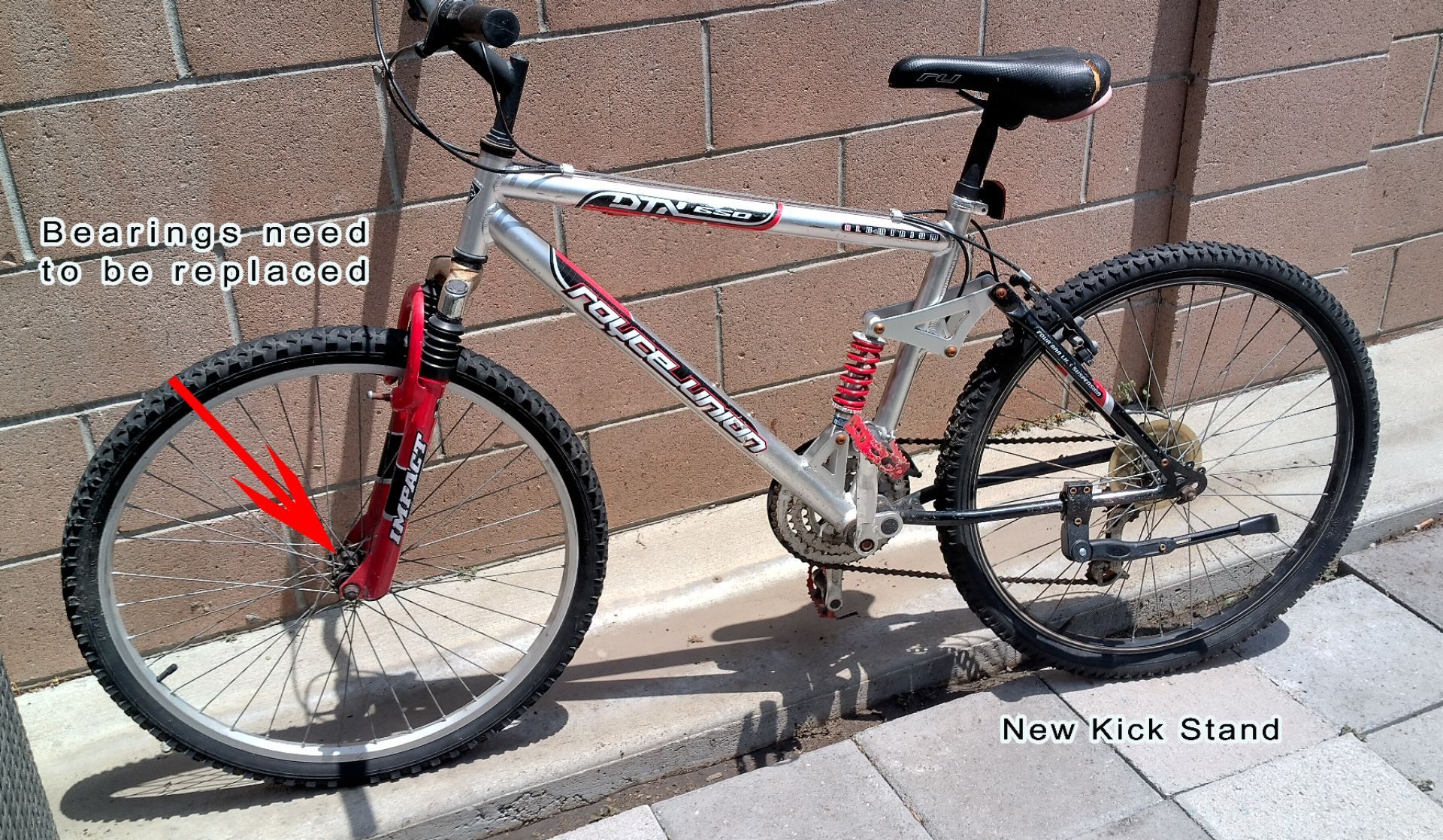 Royce Union Mountain Bike