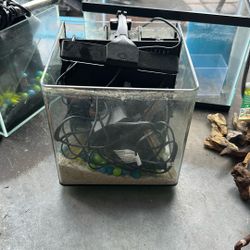 Fish Tank 