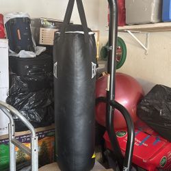 Everlast Punching Bag. 
