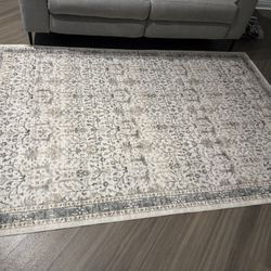 5x7 Living Room Carpet (5 Months Old)