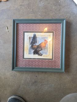 Chicken Photo