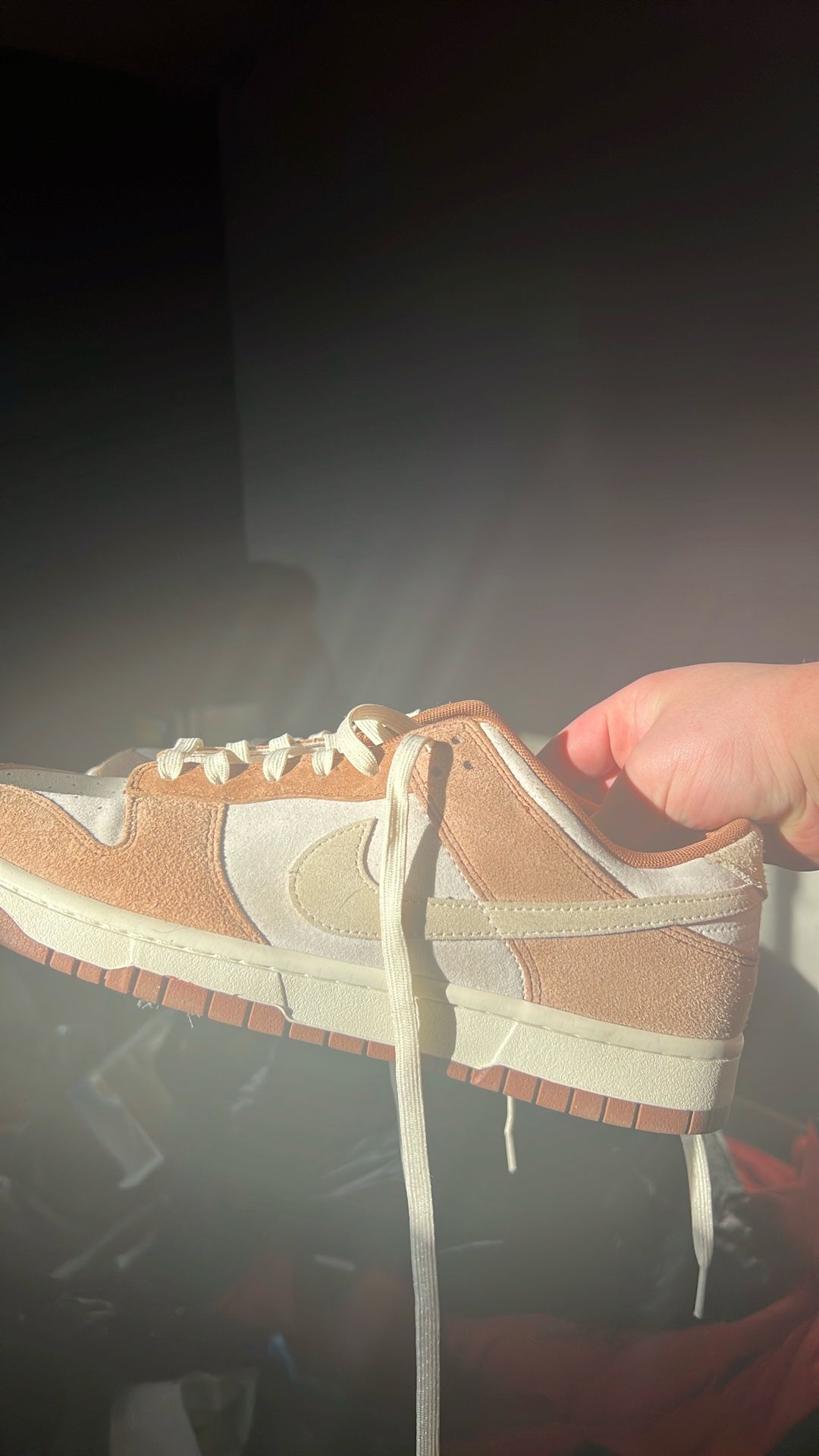 Nike Curry Dunks Size 12