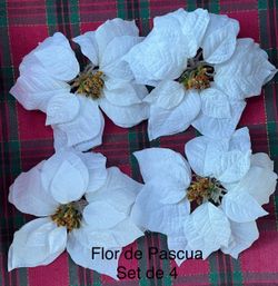 Poinsettia set of 4.