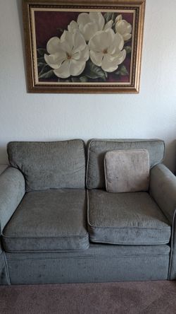Loveseat couch