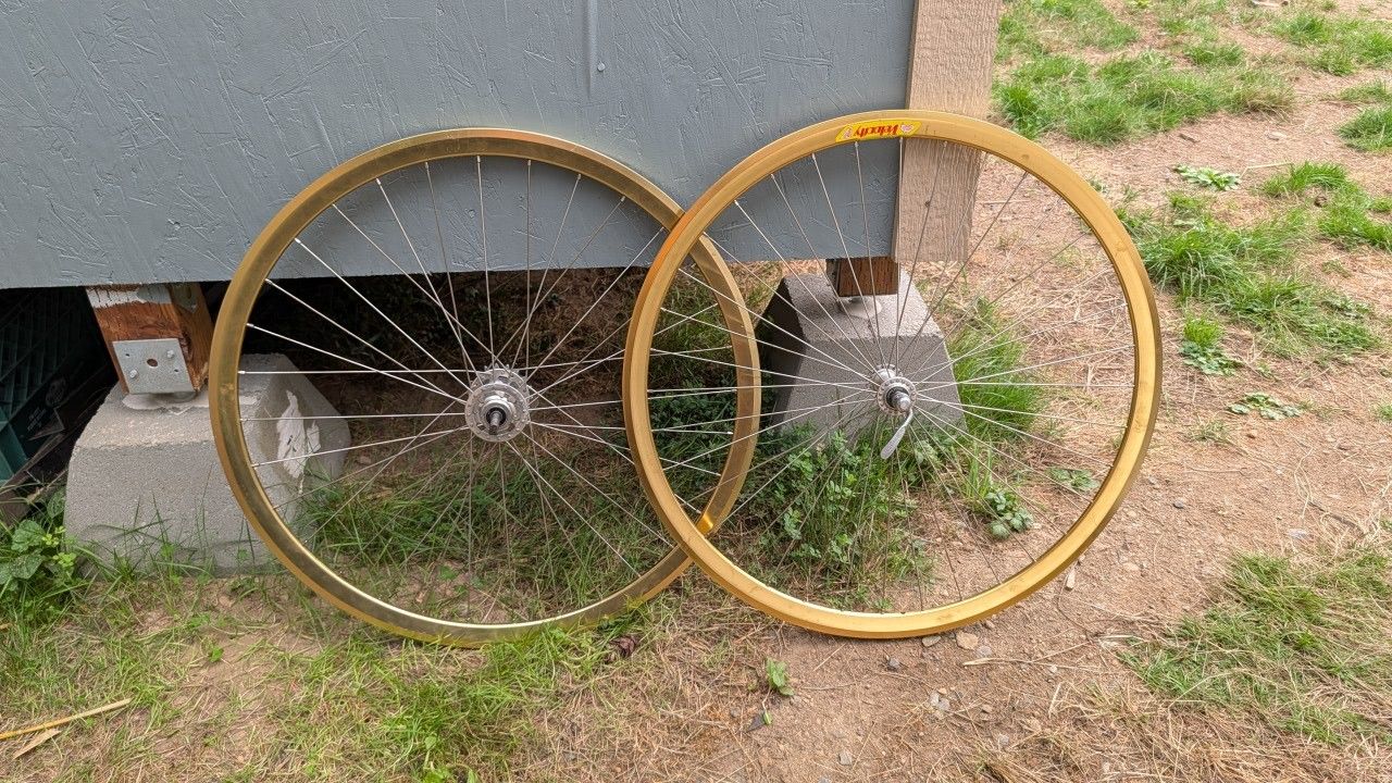 Velocity Flip Flop Gold Rims