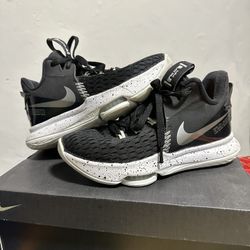 Lebron Witness V