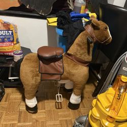 Kids Horse To Ride