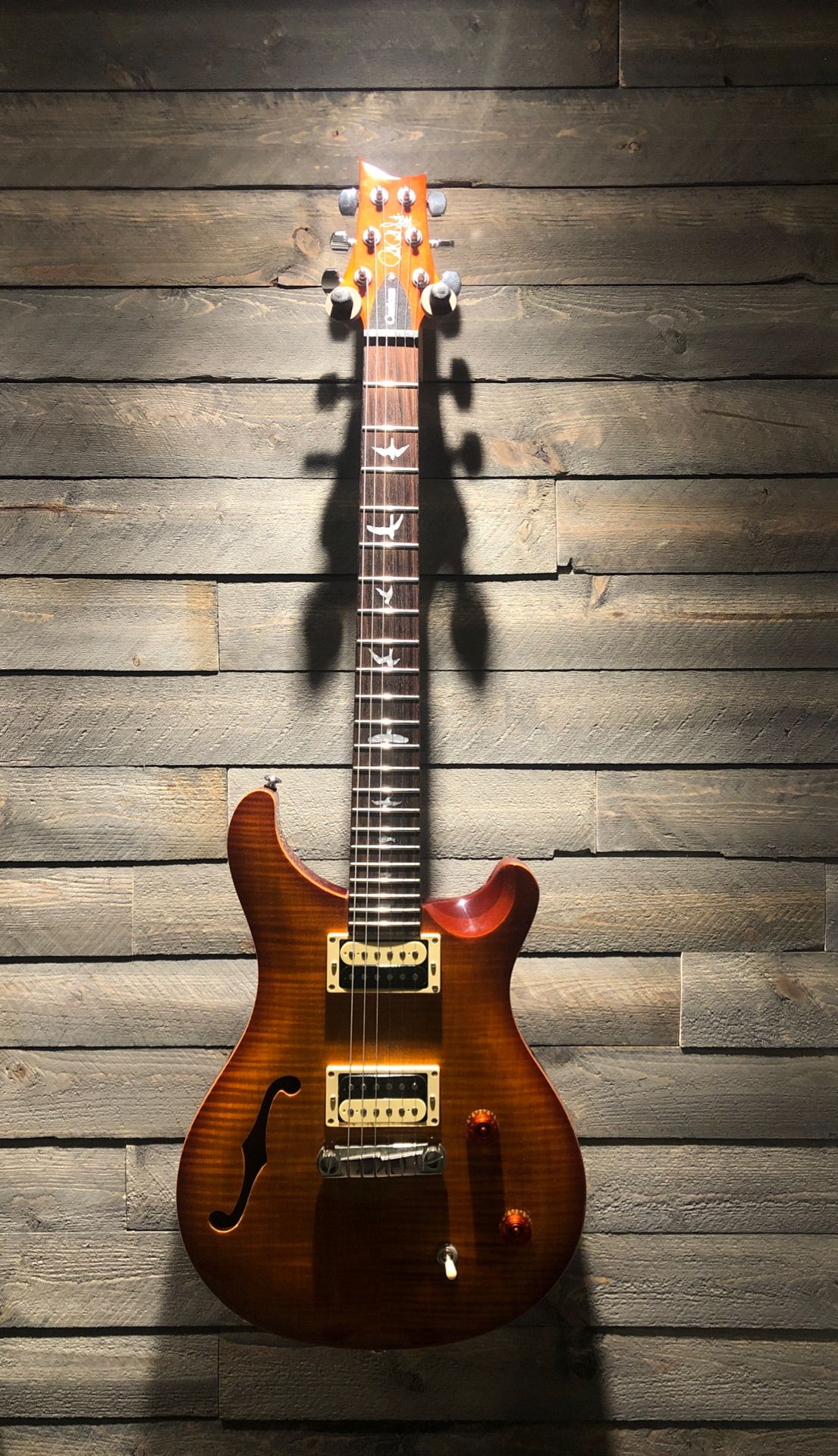 Prs custom 22 semi hollow SE 2018 electric guitar