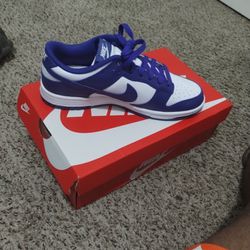 Nike Dunk Low Retros