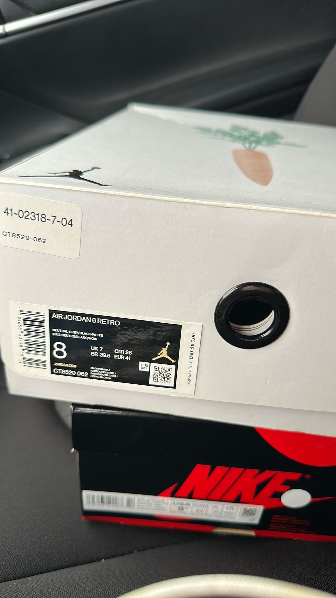 Jordan 6 Hare
