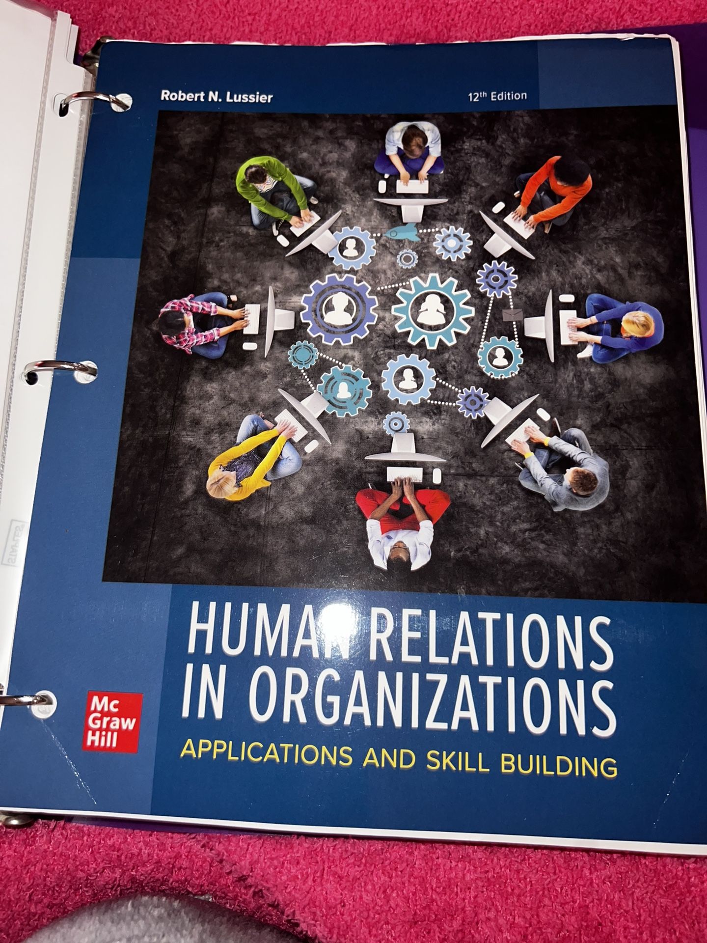 Human Relations In organizations 12th Edition
