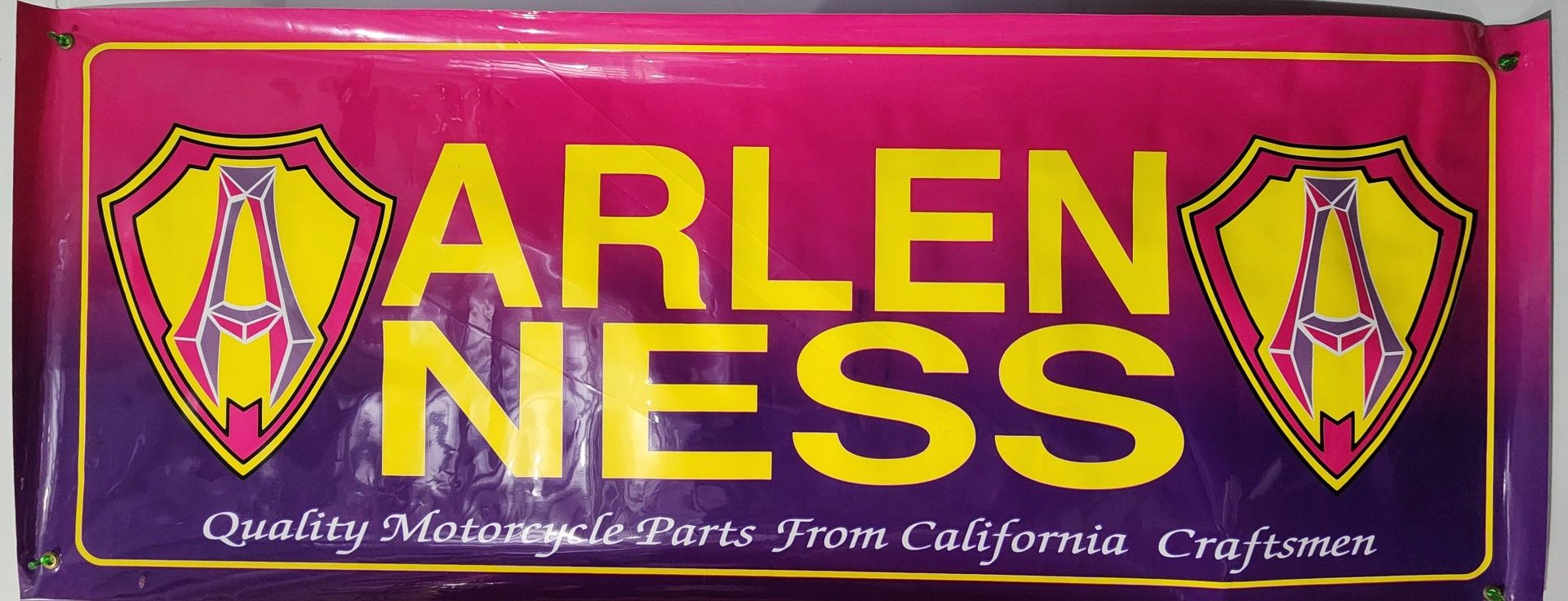 ARLENNESS Promo Poster