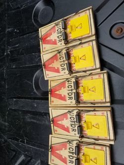 Rat traps