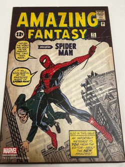 Spiderman wall art Poster