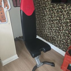 Bowflex Workout Bench