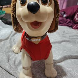Good Pooch Dog