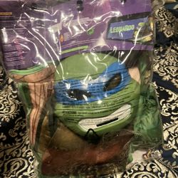 Ninja Turtle Costume Kid Age 5-7