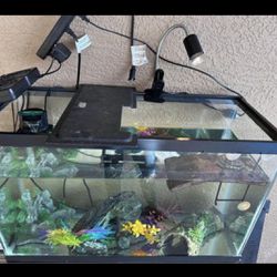 Aquarium/turtle Set Up