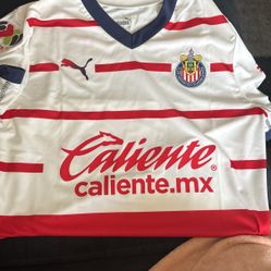 Chivas Authentic Away 23-24 Jersey