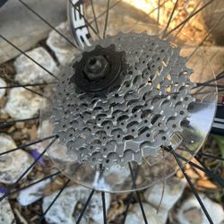 New 700c Rear Masi Wheels