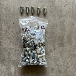 100 Count Bag Bolts 🔩