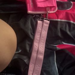 stanley cup holder /bag 