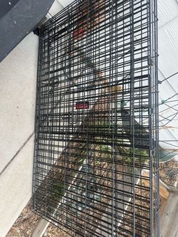 Xl KONG dog crate
