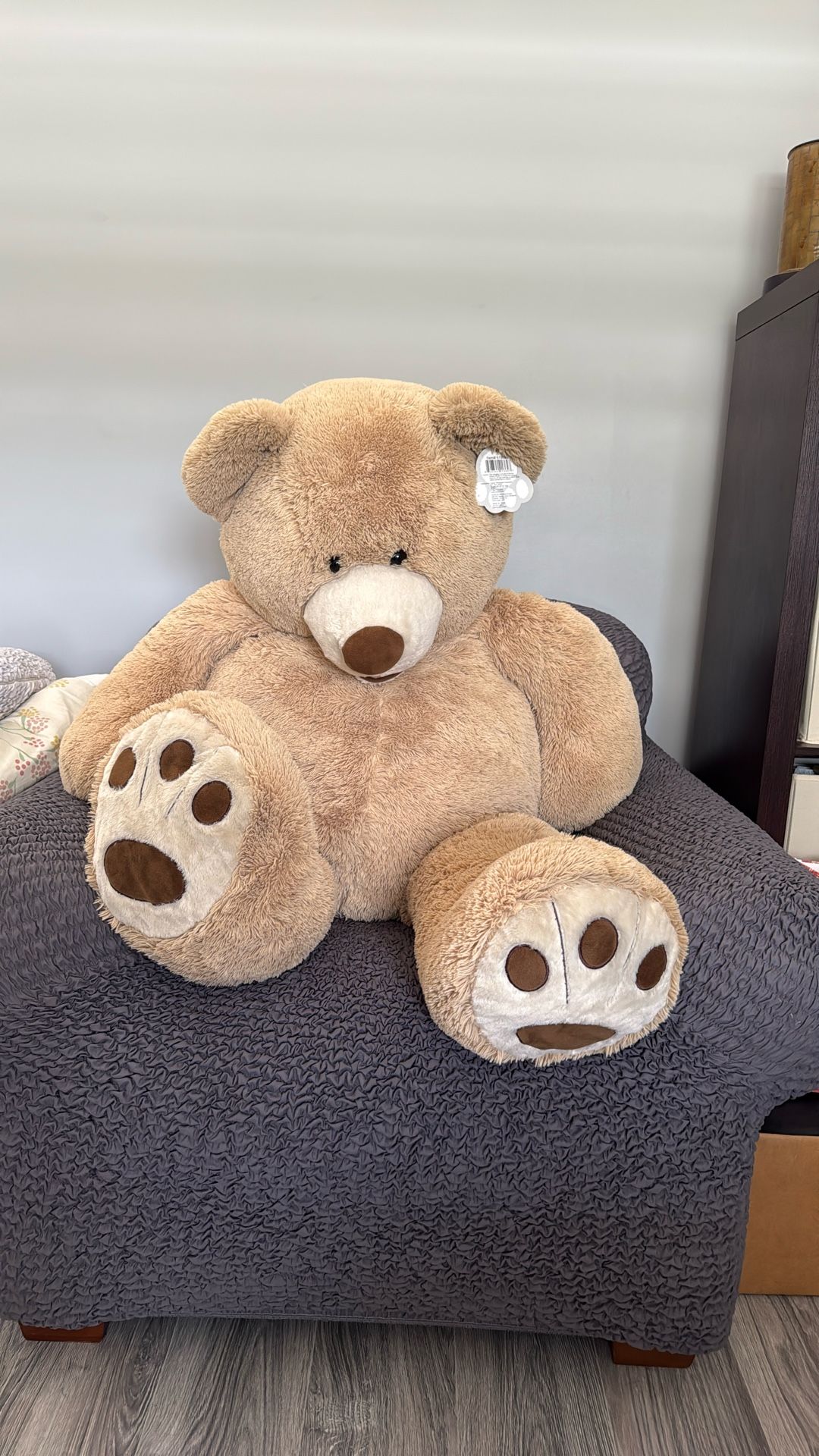 Costco 53 Inch Teddy Bear