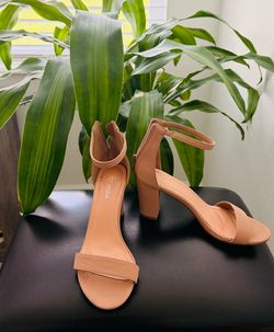 Nude Dress shoes