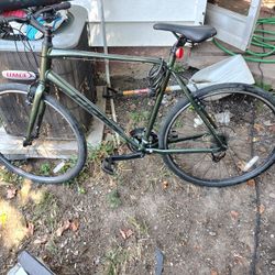 Giant Escape XL 3.0
