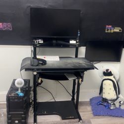 Gaming Setup
