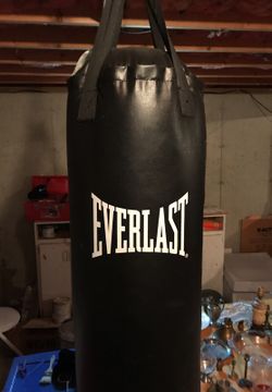 Everlast Punching Bag