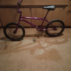 Mongoose 20 Inch Bicycle Originally Froms