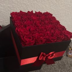 Forever Roses Brand New