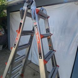 Little Giant Ladder 