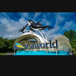 Sea World Ticket Only 1