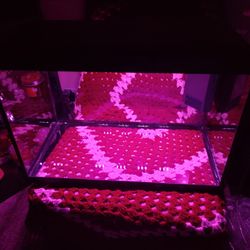 Brand New Fish Tank With Colored Led Light And Water Filter