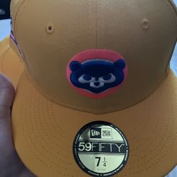 Cubs Hat