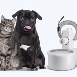 Always Full® 7" Pet Water Bowl and Bottle Pump Bundle