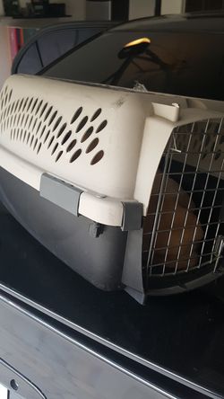 Pet cradle / transport box