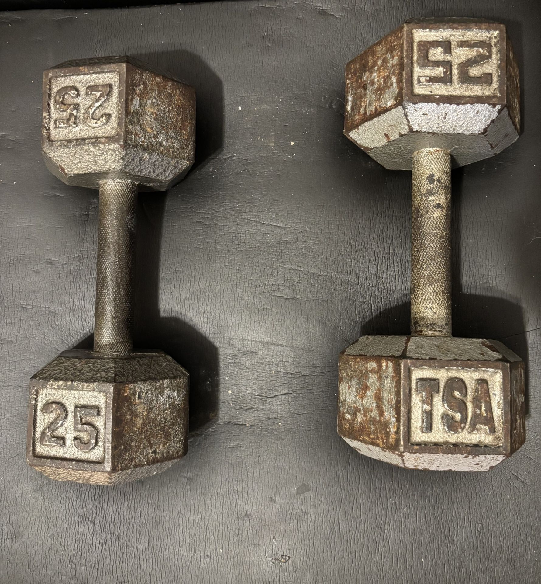 25lbs Dumbbells 