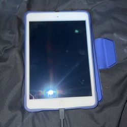 iPad Mini With Expensive Case