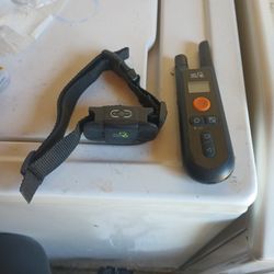 Training Collar For Dogs 