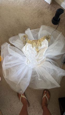 Size Adult Small Swam Lake ballet/pointe costume