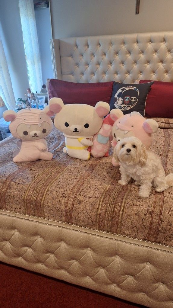 BIG  STUFFED ANIMAL  $20 EACH  NEW